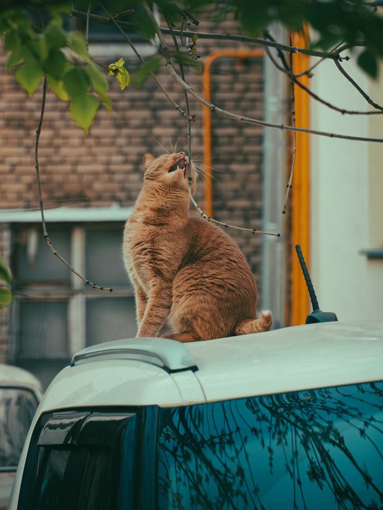 Photograph by Пол Фирс