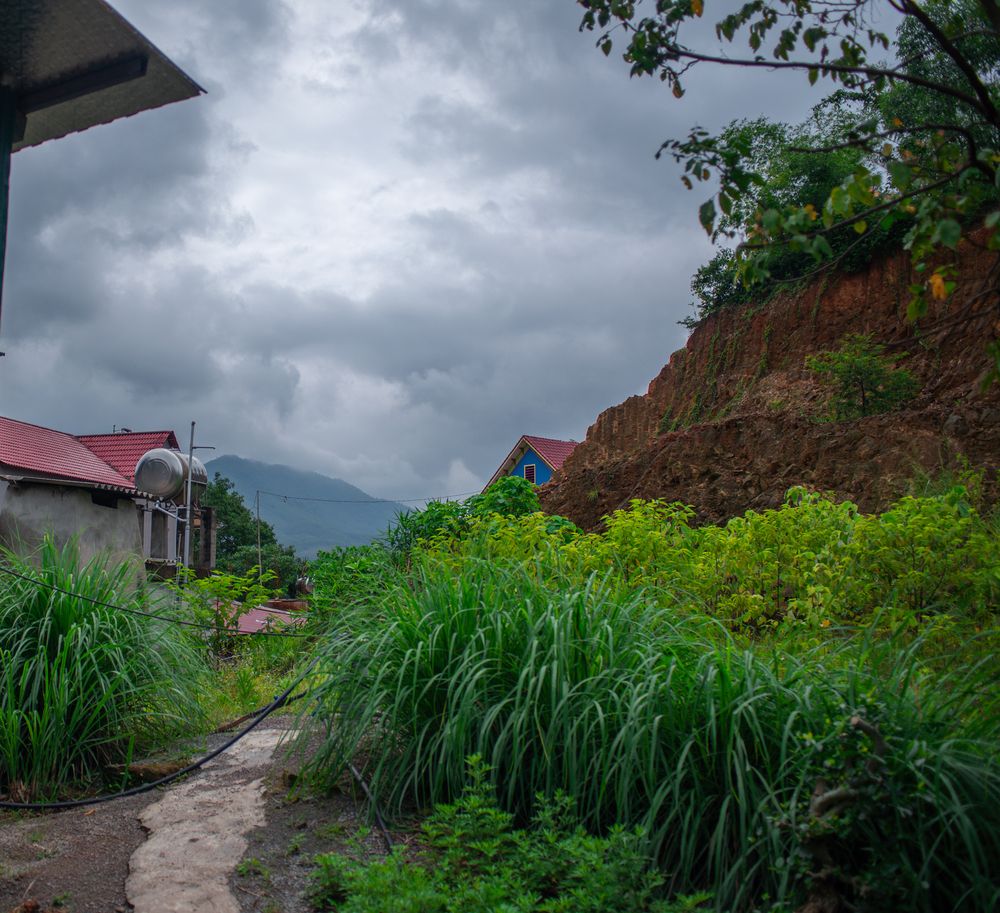 Photograph by OTABIT