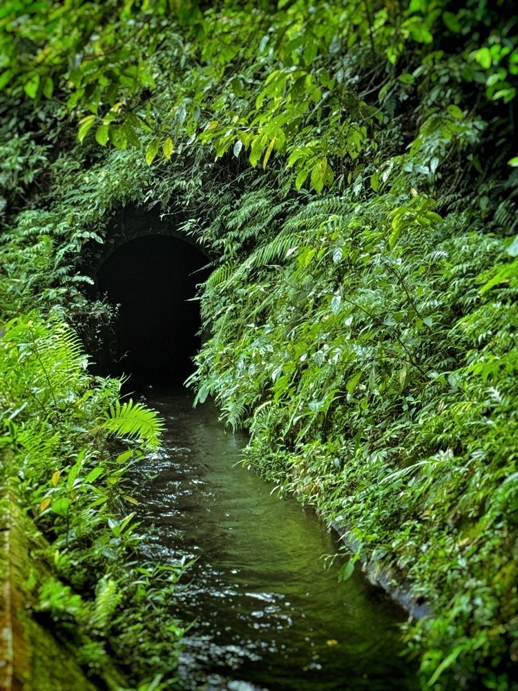 The Tunnel