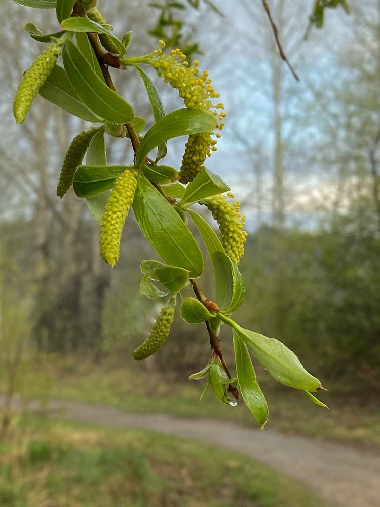 Photograph by Алиса Лукина