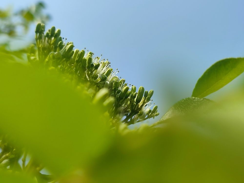 Photograph by Sourav Dutta