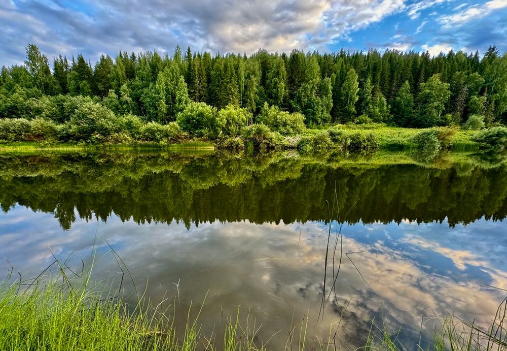 Photograph by Вероника Ким