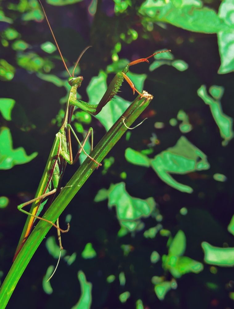 Photograph by Elena Goncharova