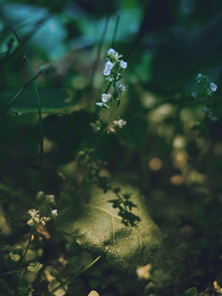 Photograph by Ирина Пинчук
