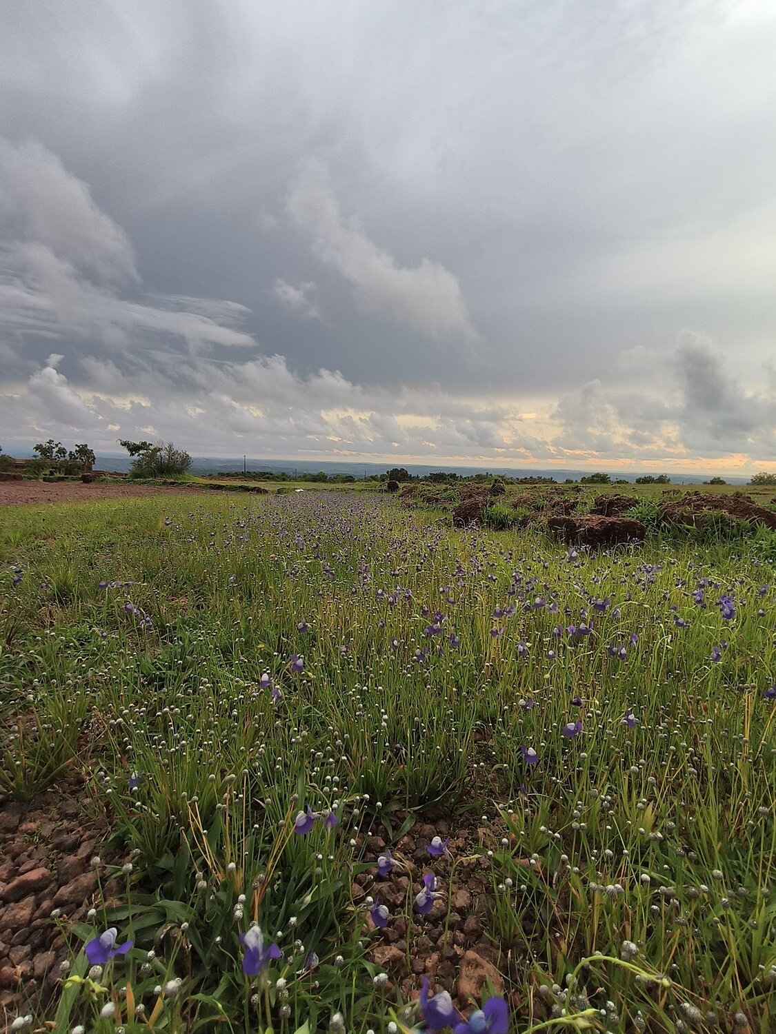 Photo #13635734