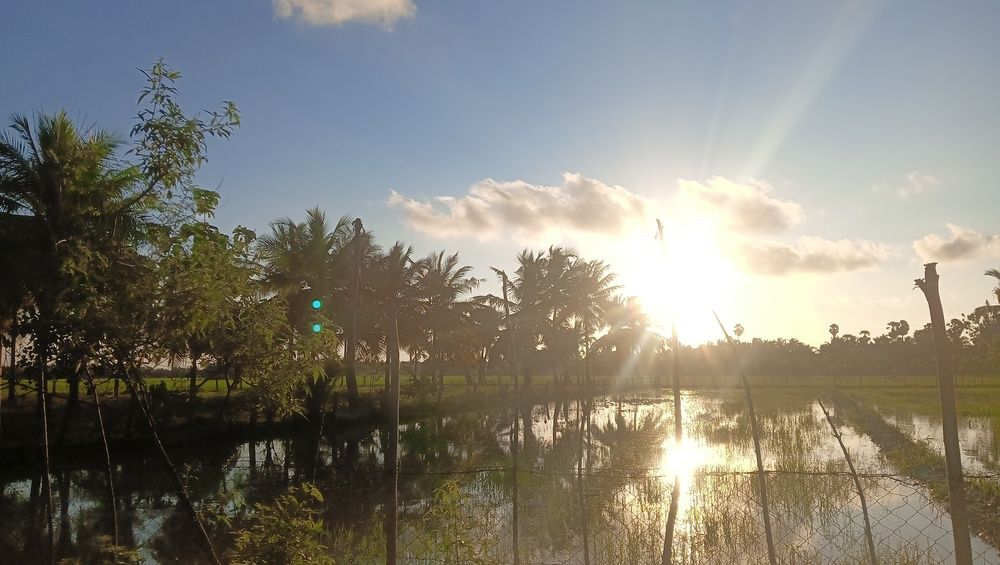 Photo #13635764