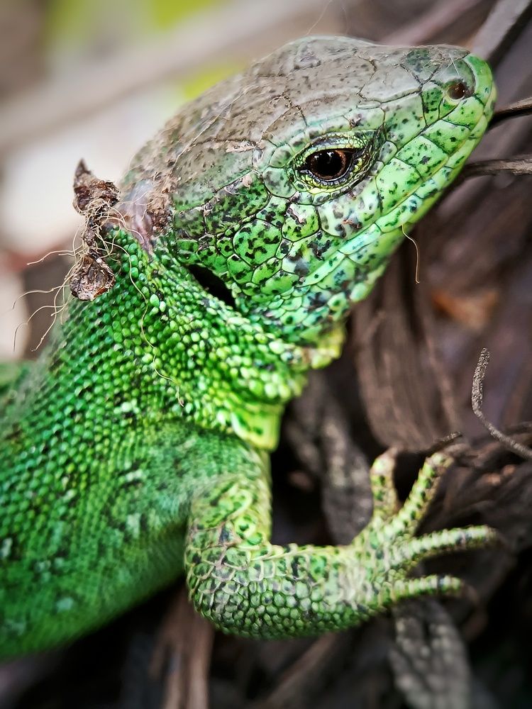 Photograph by Кристина Панченко
