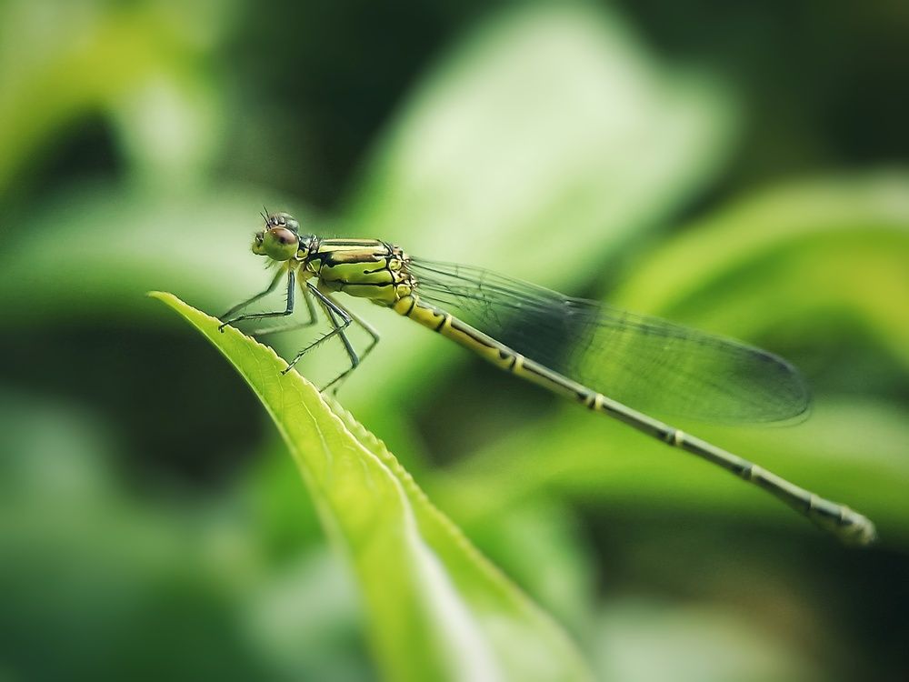 Photograph by Кристина Панченко