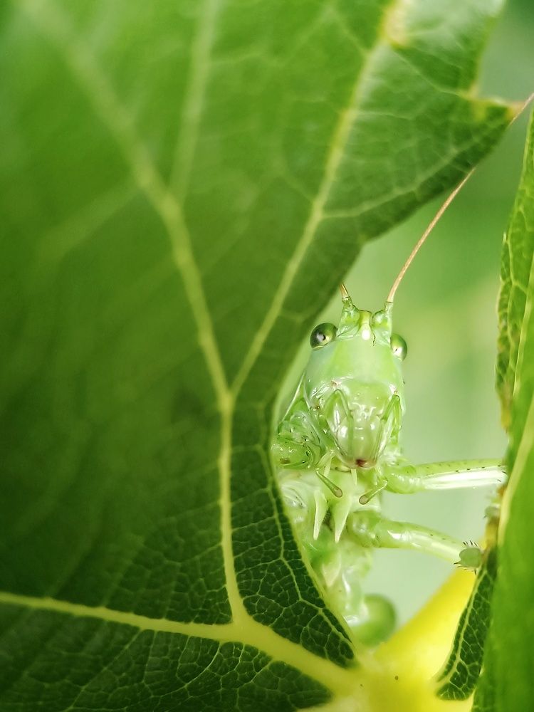 Photograph by Кристина Панченко