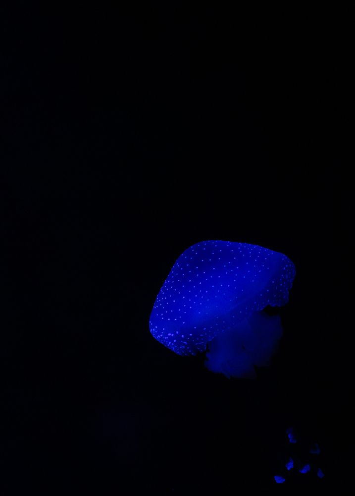 Photograph by Matilde Lopes