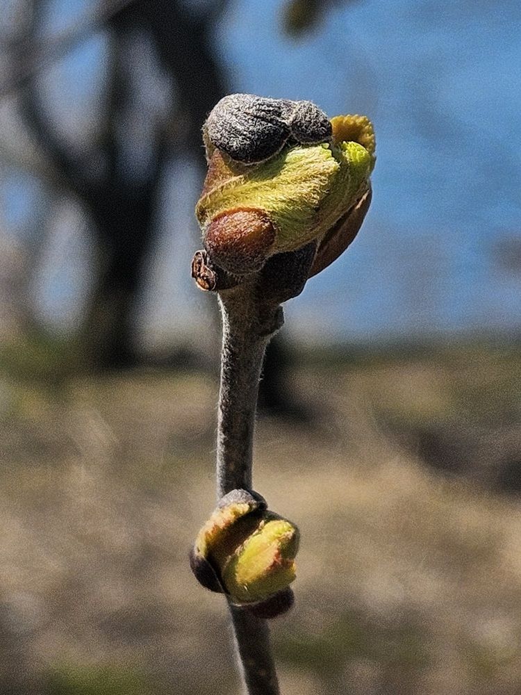 Photograph by Анна Петренко