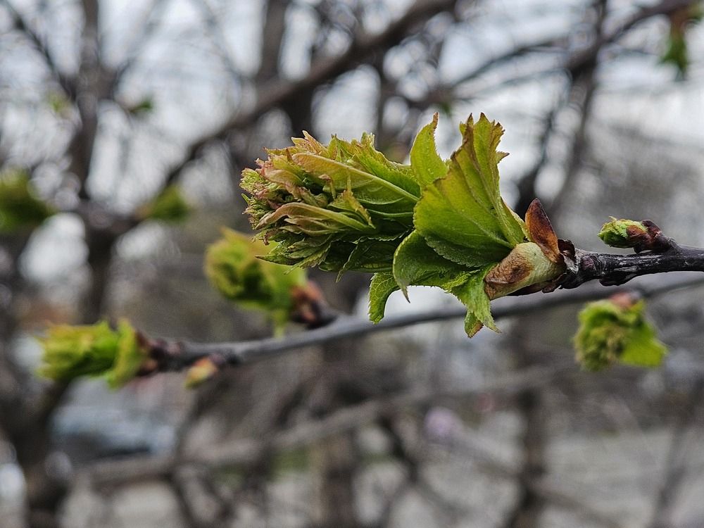 Photograph by Анна Петренко