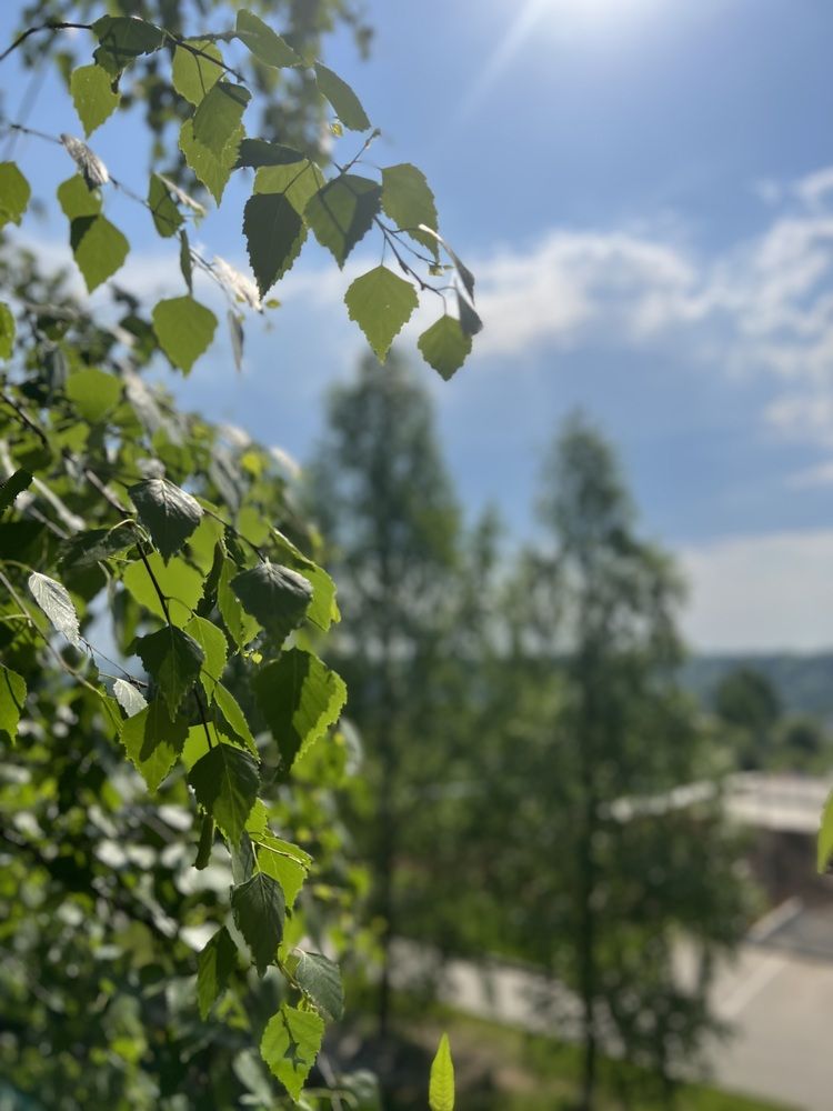 Photograph by Ольга Бородина