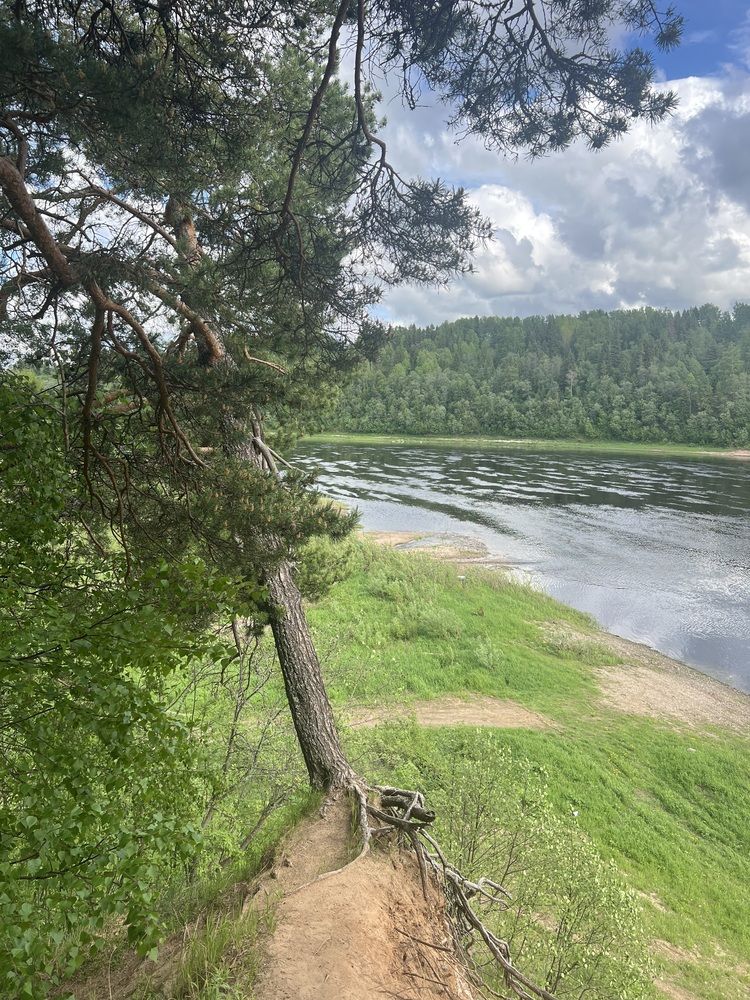 Photograph by Ольга Бородина