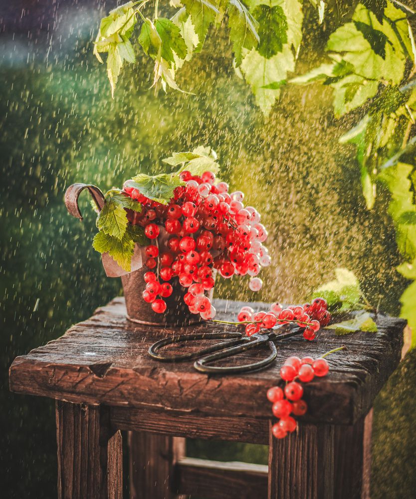 Photograph by Ольга Семина