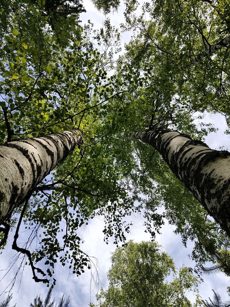 Photograph by Сергей Александрович