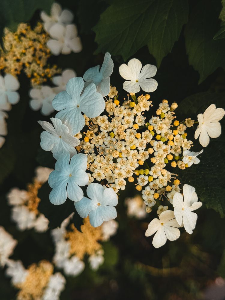 Photograph by Алеся Гурьянова