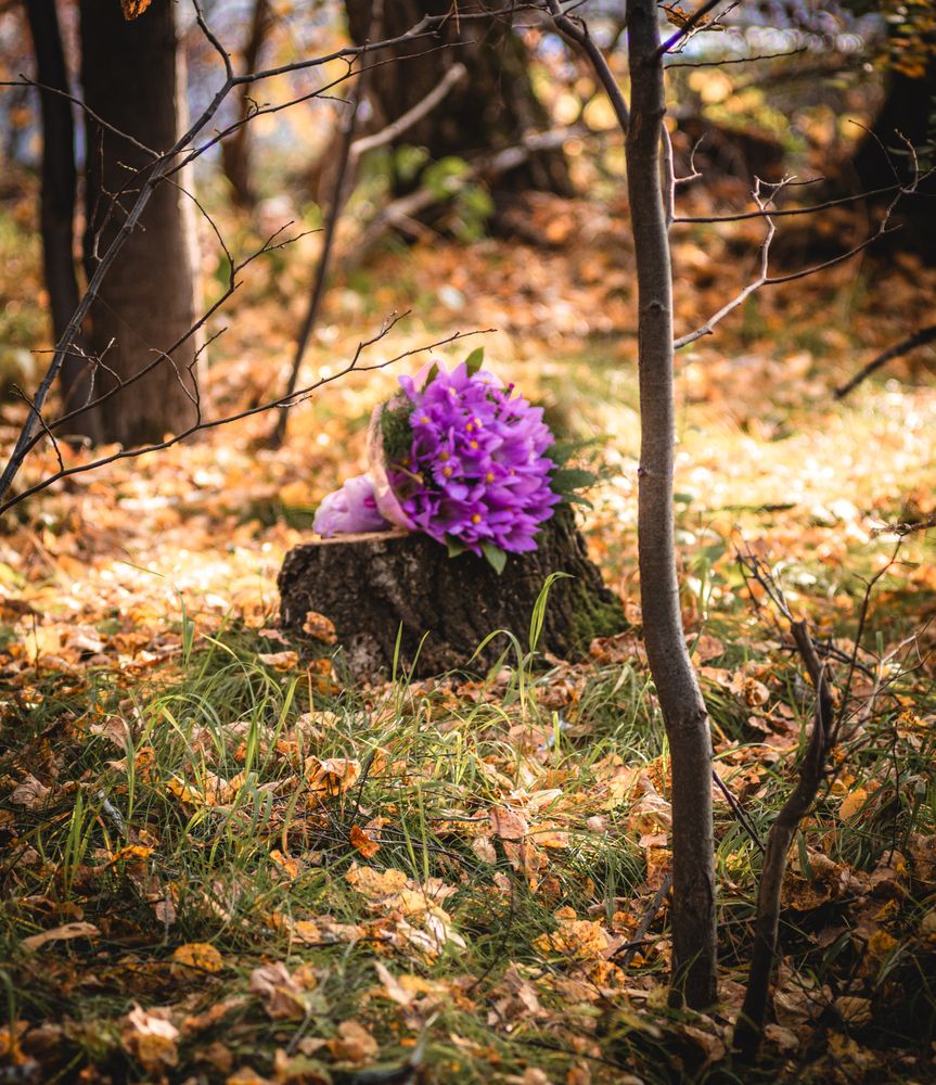 Photograph by Данил Баглаев