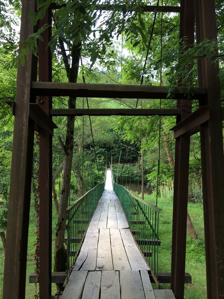 Photograph by Ксения