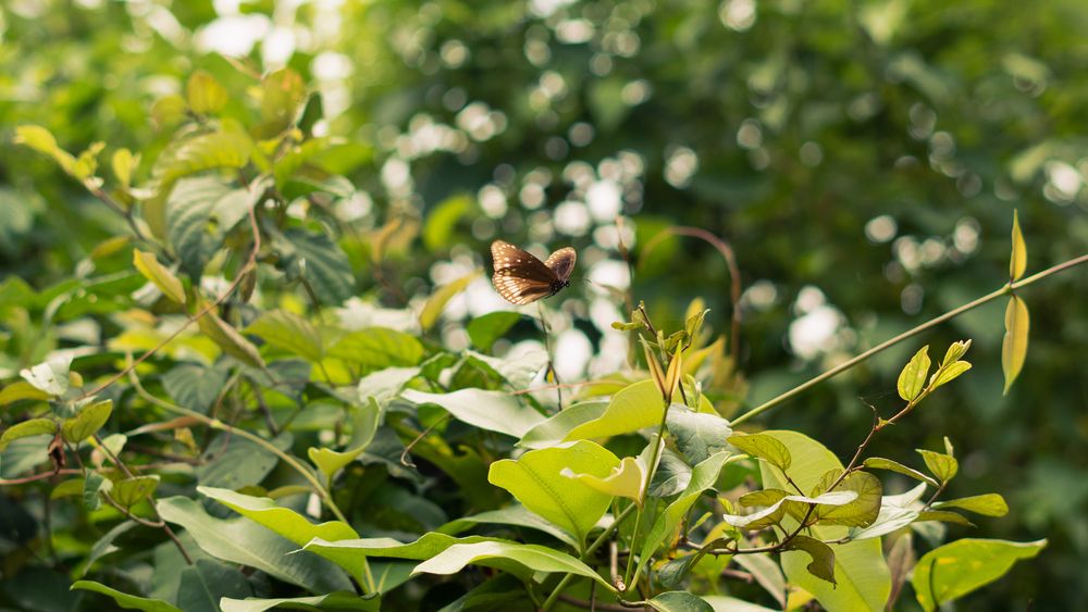 Photograph by Swapnil Mestri