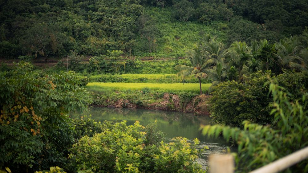 Photograph by Swapnil Mestri