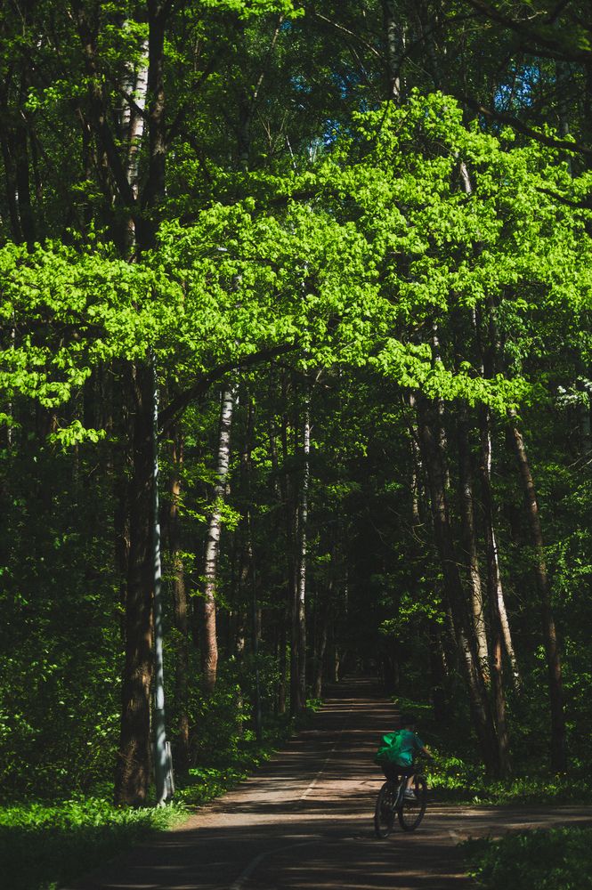 Photograph by Анастасия Юрьева