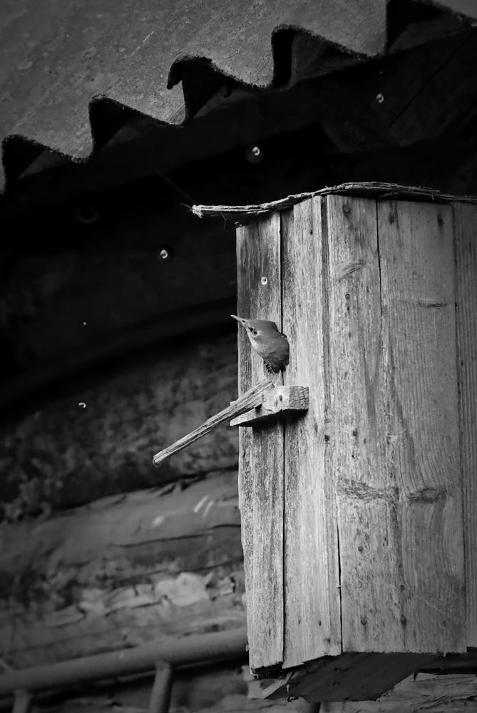Photograph by Татьяна Слесарева