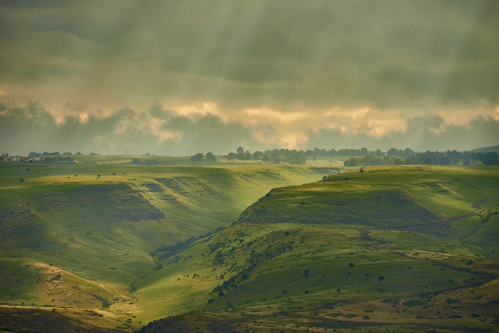Photograph by Alexander Leshinsky