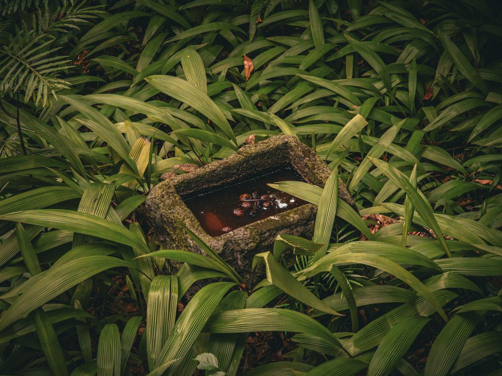 Photograph by Павел Овчаров