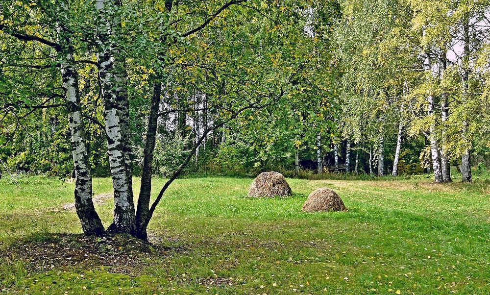 Photograph by Виктор Решетников