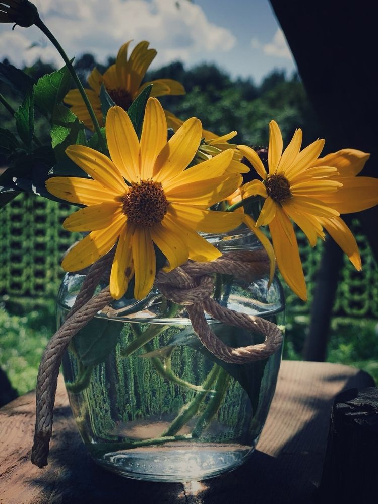 Photograph by Татьяна
