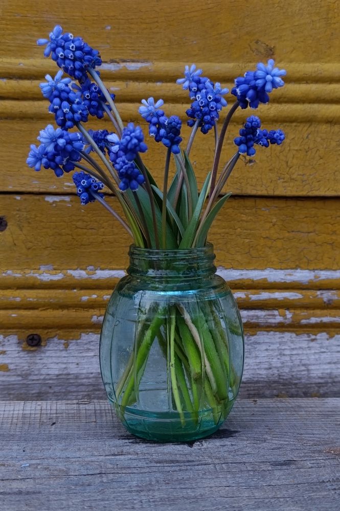 Photograph by Юлия Некрасова