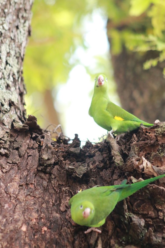 Photograph by Marcos dos Santos Lima