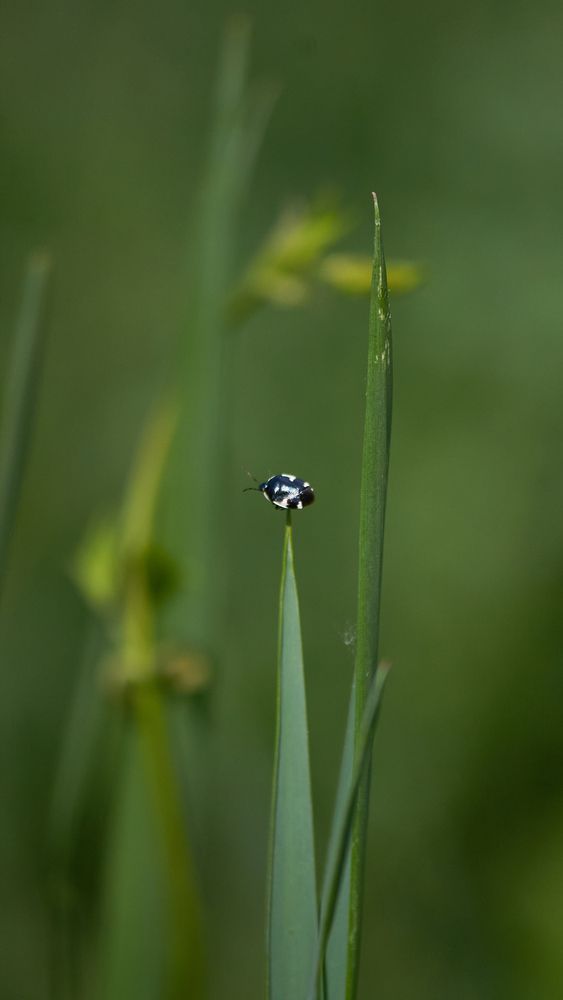 Photograph by Екатерина Иванова