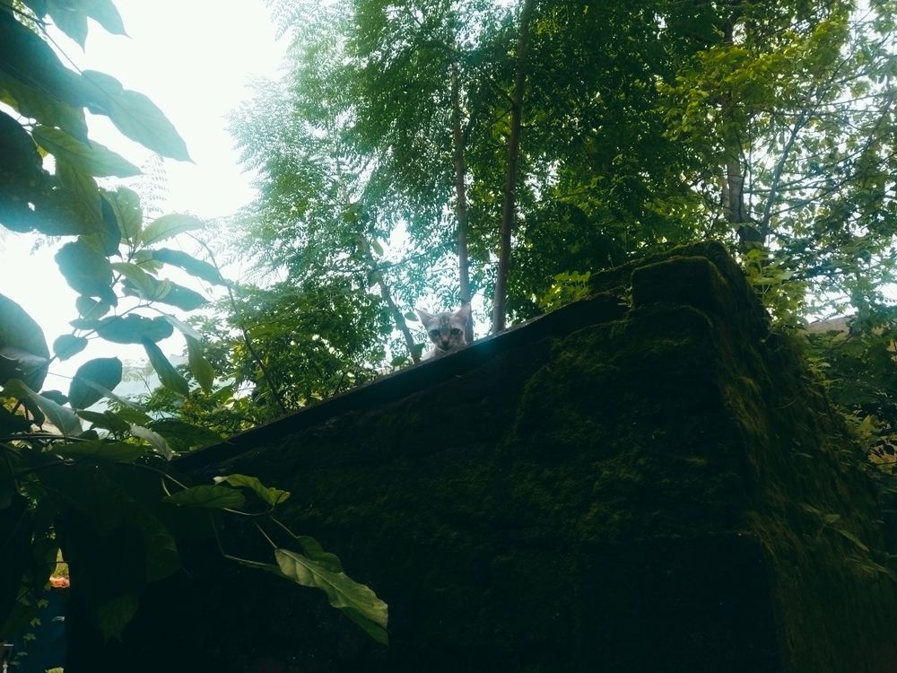 Photograph by Navya Modi