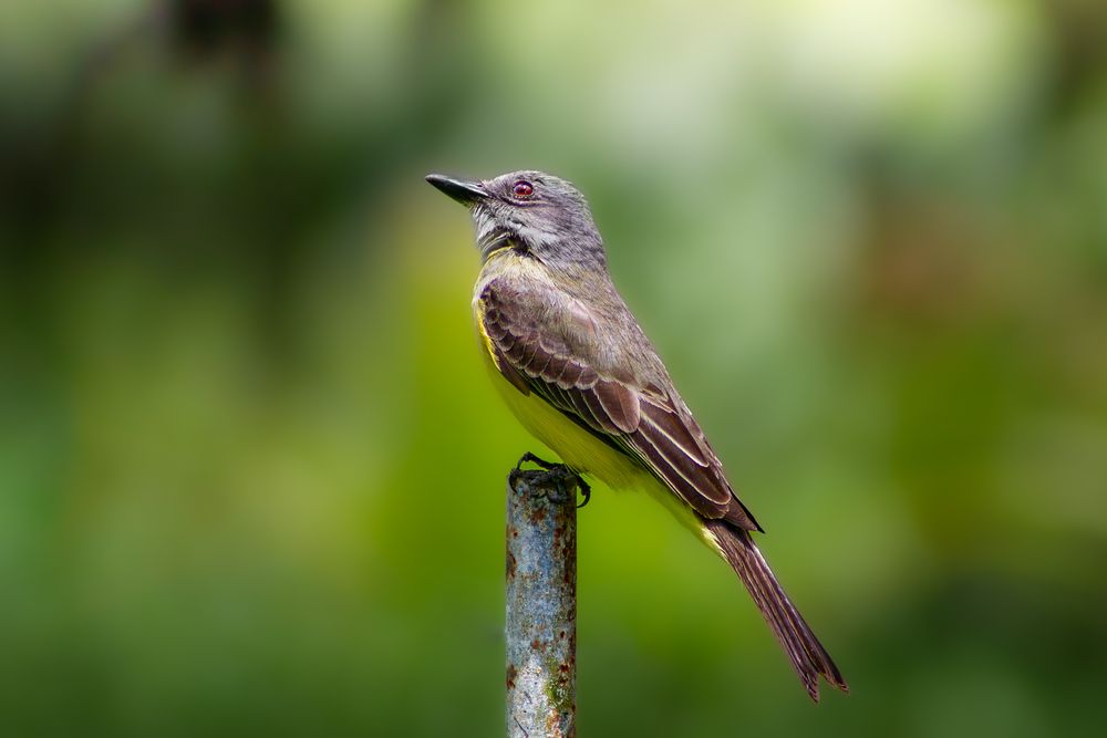 Photograph by Mateo Arbelaez Ocampo