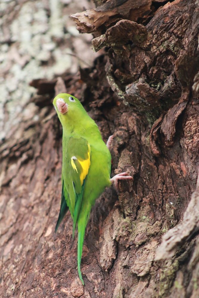 Photograph by Marcos dos Santos Lima