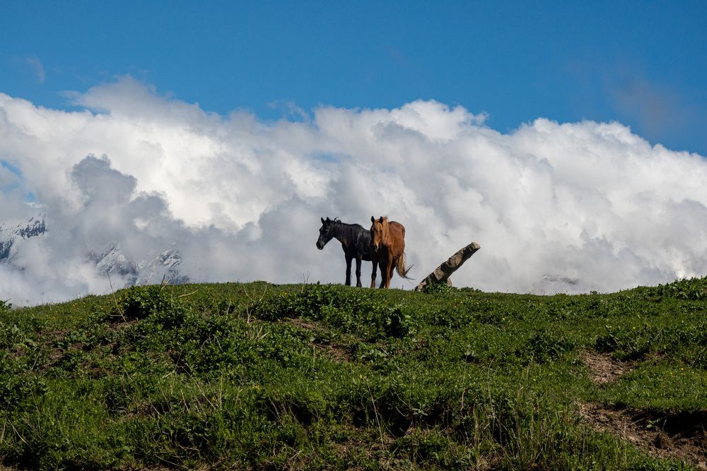 Photograph by Виталий Маслов