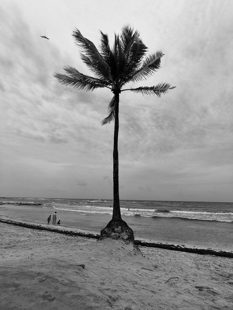 Photograph by Manuel Duarte