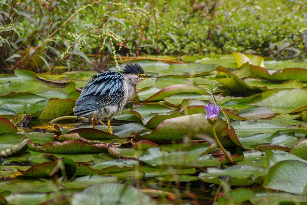 Photograph by Mateo Arbelaez Ocampo