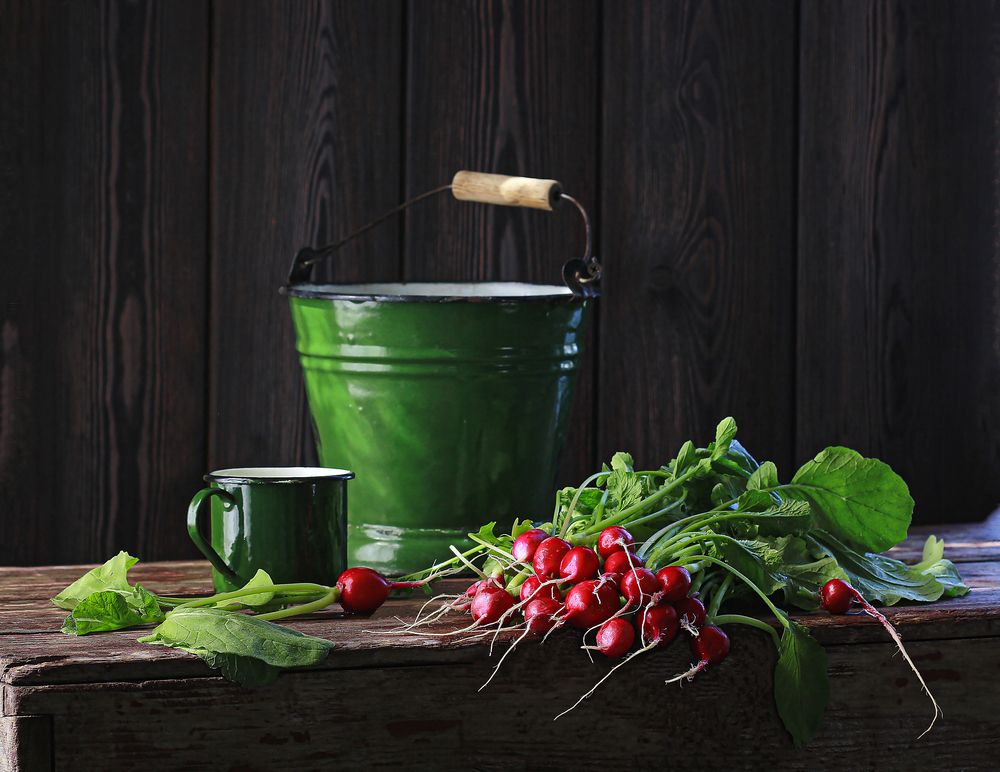 Photograph by Наталья Казанцева