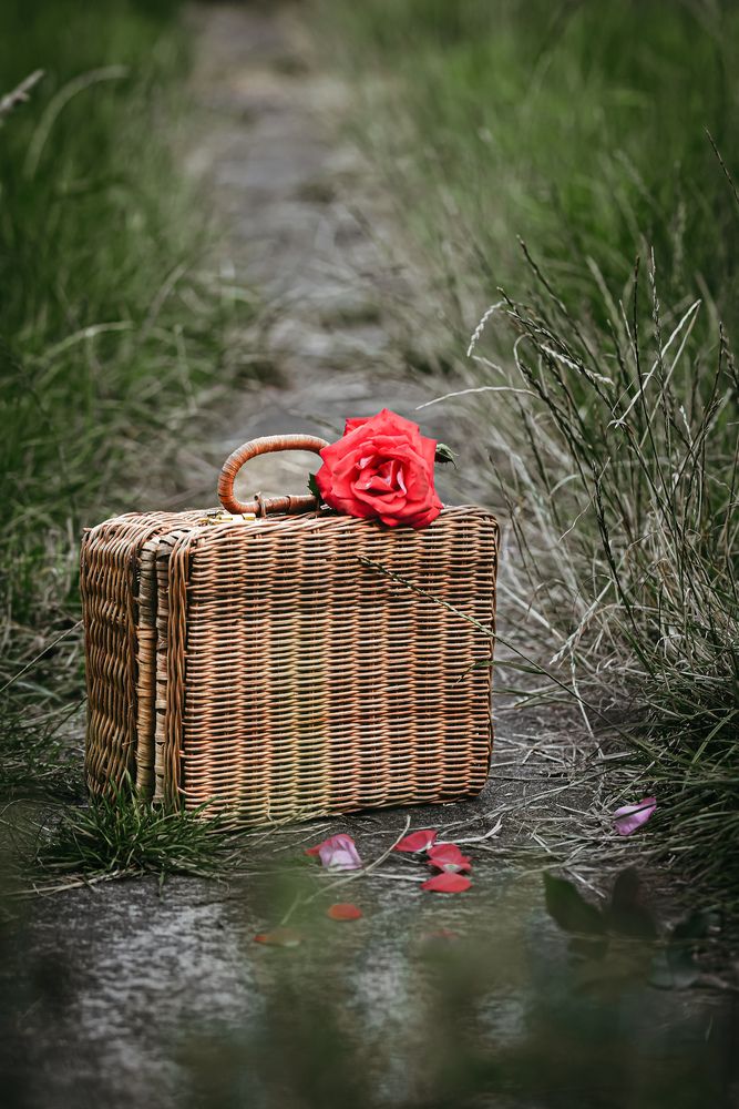 Photograph by Mansura Akter