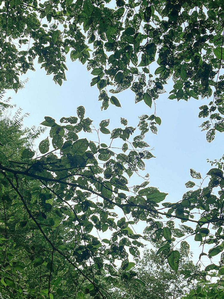 Photograph by Fatemeh Mousavi
