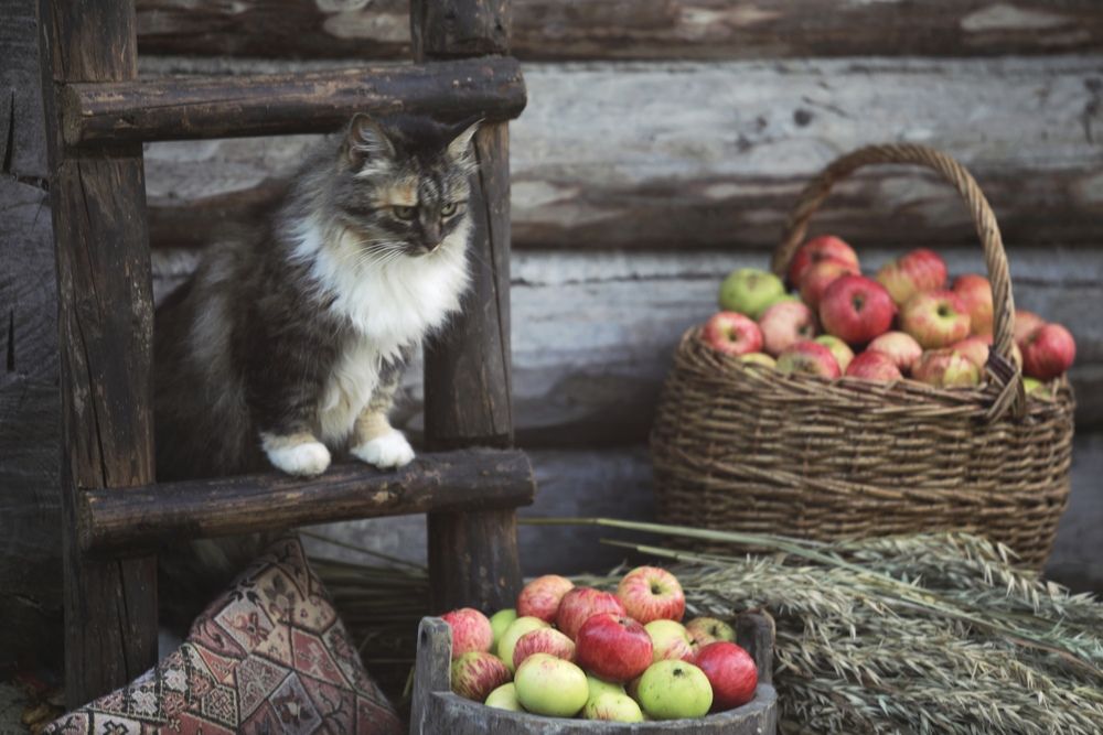Photograph by Ольга