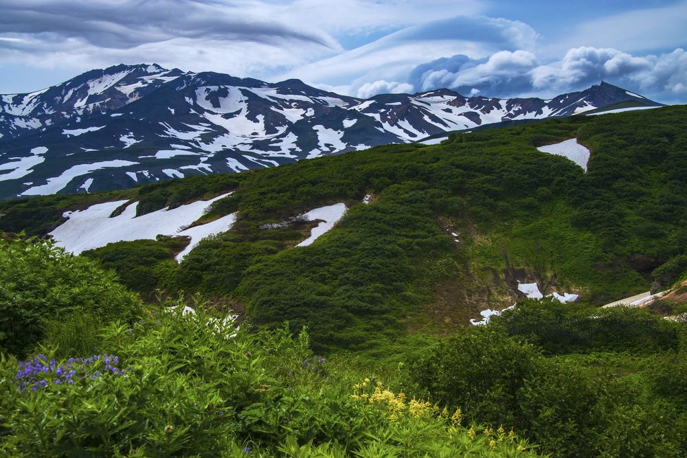 Камчатское лето