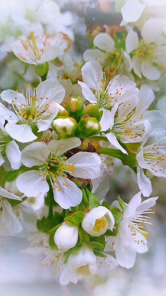Photograph by Алла Холодова