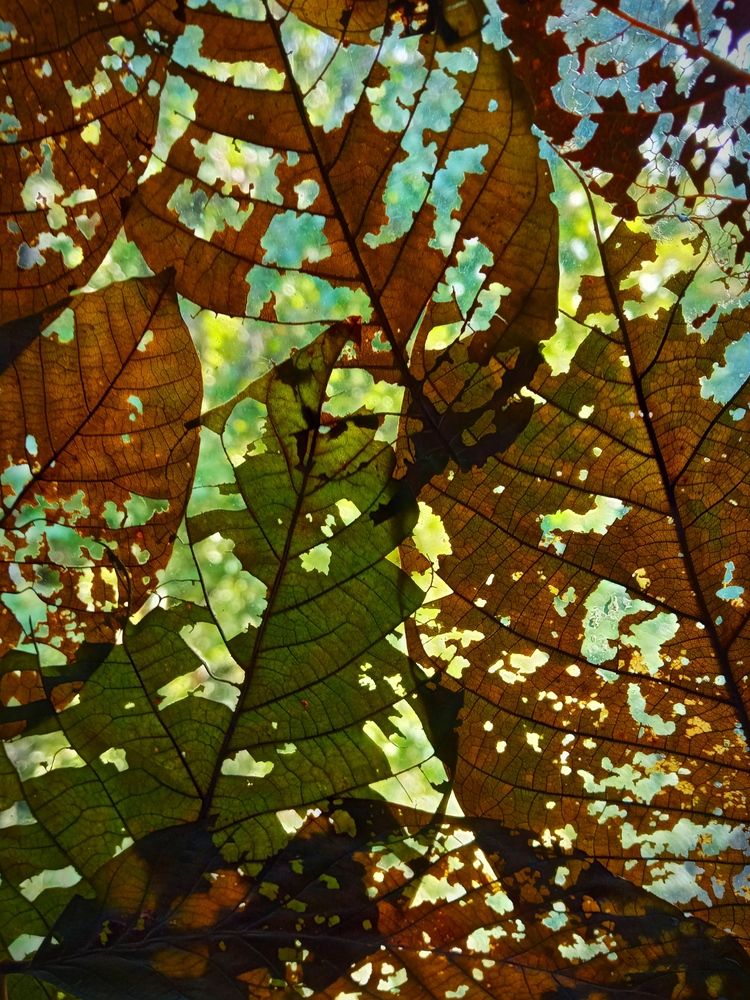 Photograph by Светлана Ищенко