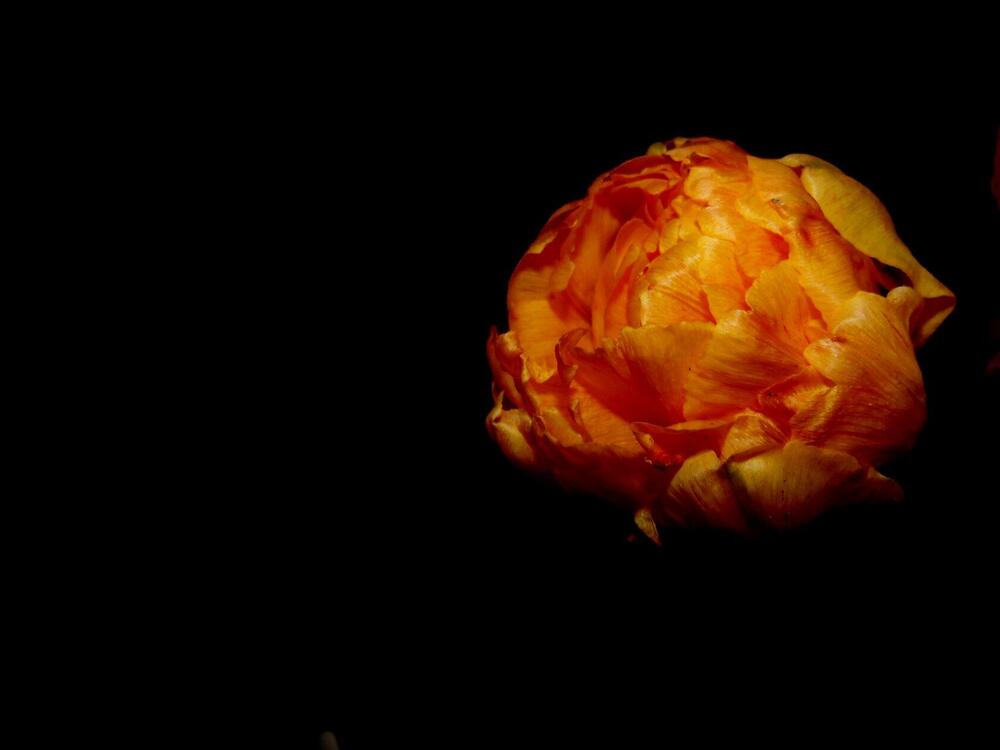 Photograph by Мария Клеба