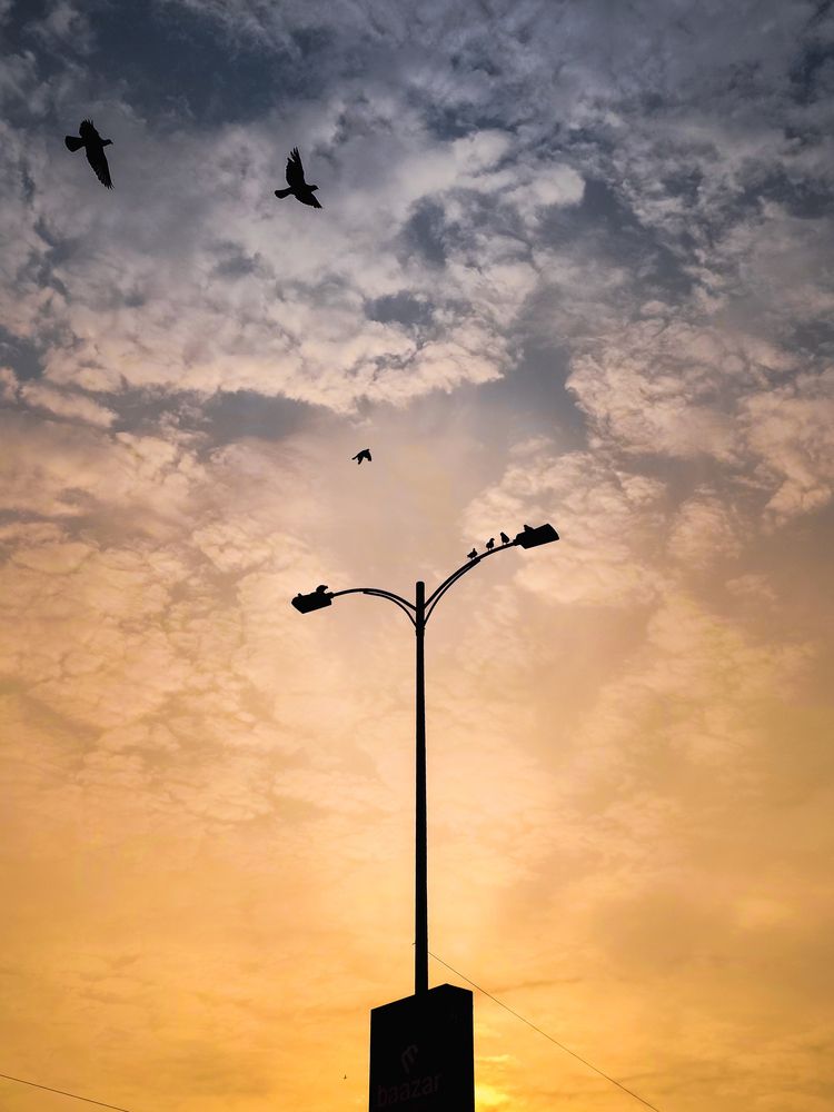 Where Silence Learns to Fly