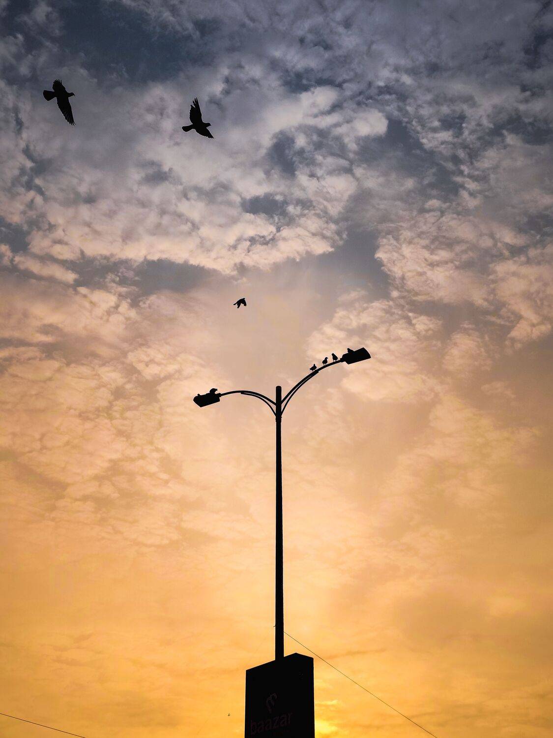 Where Silence Learns to Fly